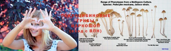 кокаин VHQ Алексеевка