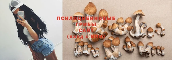 мяу мяу кристалл Алексин