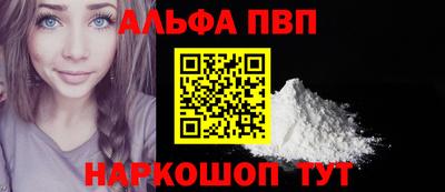 индика Кингисепп