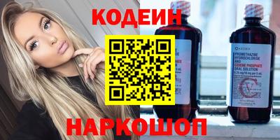 индика Кингисепп
