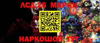 индика Кингисепп