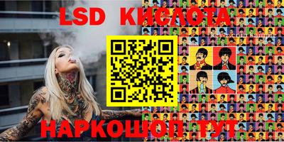индика Кингисепп