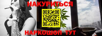 индика Кингисепп