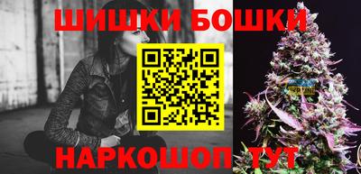индика Кингисепп