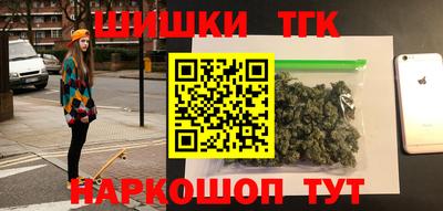 индика Кингисепп