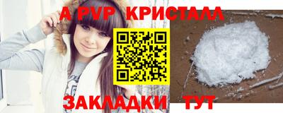 индика Кингисепп