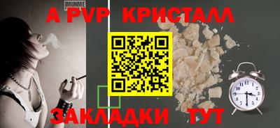 индика Кингисепп