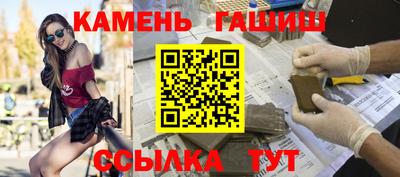 индика Кингисепп