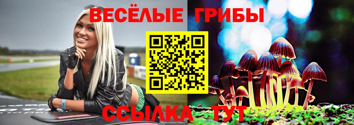 Галлюциногенные грибы Magic Shrooms Рубцовск